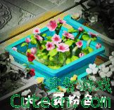 2J �ž黨